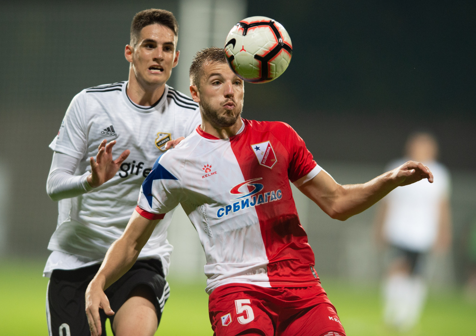 Čukarički - Vojvodina 0:0 - Slobodan Tedić | FkCukaricki